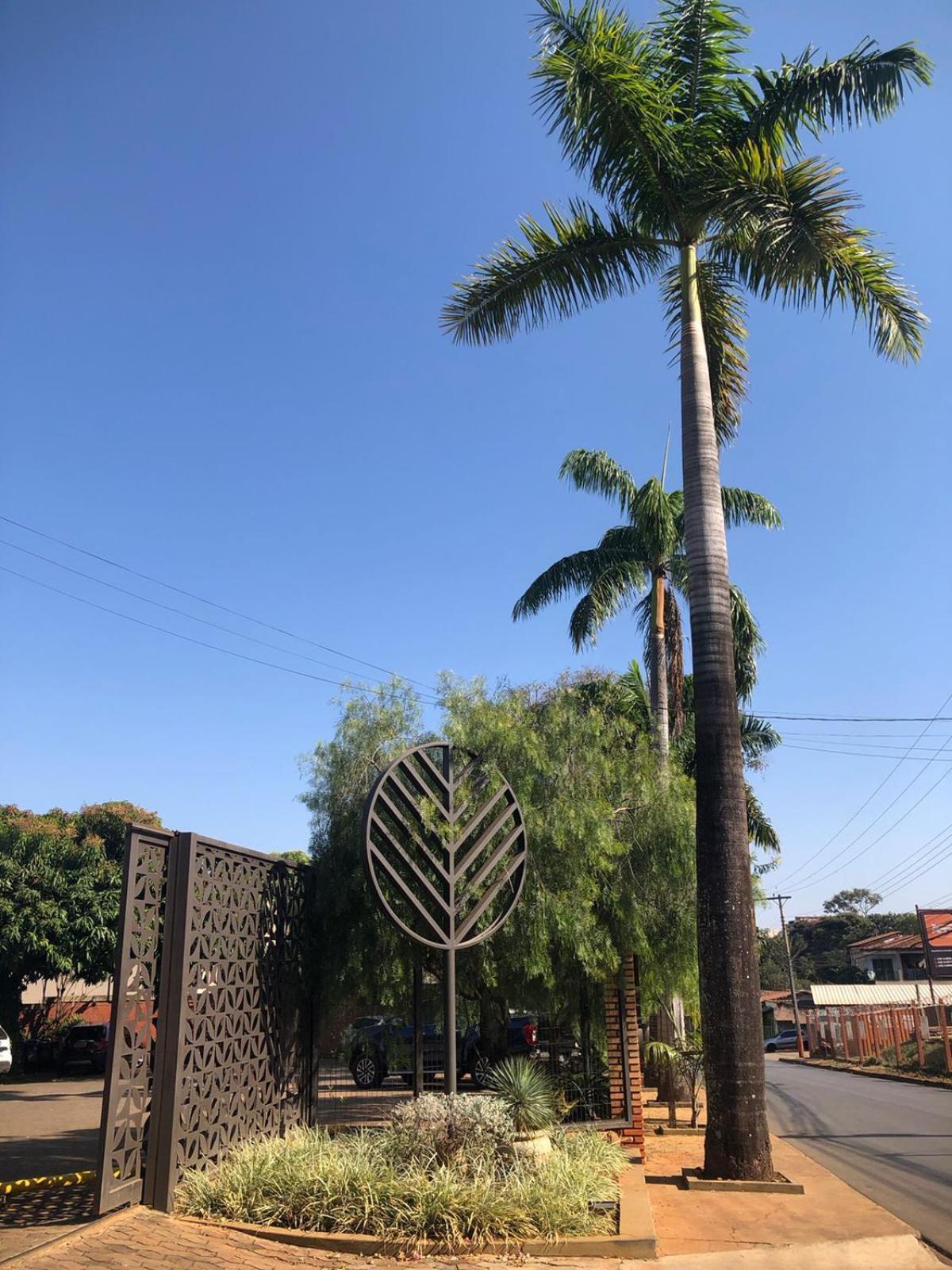 Hotel Das Palmeiras Paracatu Buitenkant foto
